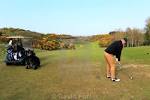 Golfers on the Druids Heath golf course, Druids Glen golf resort ...