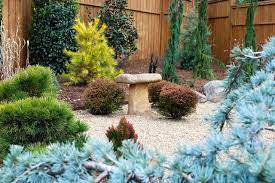 Designing With Conifers Personality
