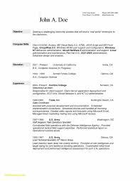 Sales Manager Resume Templates Word Popular 20 Best Objective