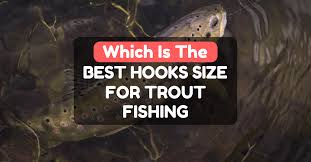 Which Is The Best Hook Size For Trout Fishing