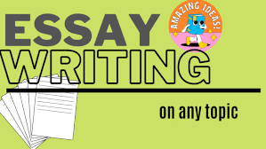 write high quality essays for you on