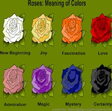 The Colors Of Roses And Their Meanings
