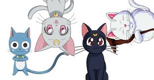 70 best anime cats of all time the