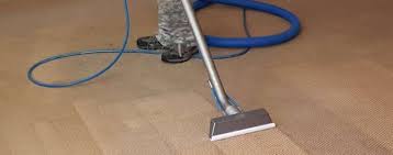 professional carpet cleaning and carpet