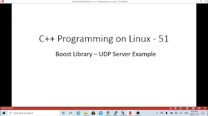 c programming on linux simple udp