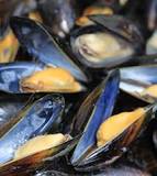 What if a mussel is open before cooking?