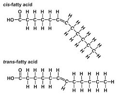 fatty acids in all shapes and sizes