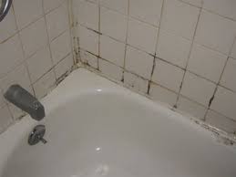 stop mold and mildew in the bathroom