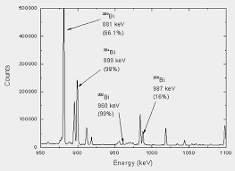 Joseph Magill Jean Galy Radioactivity Radionuclides