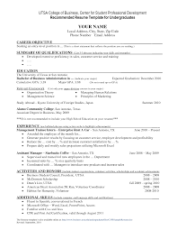     Resume Objective Examples   Use Them On Your Resume  Tips 