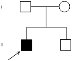 Pedigree Chart Of The Family Of The Oi Type Iv Patient The