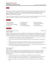Click Here to Download this Account Executive Resume Template  http   www  BeBusinessed