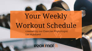 weekly workout schedule proximal50