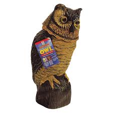 8011 bobble head garden defense owl