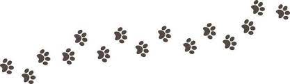 paw print vector art icons and