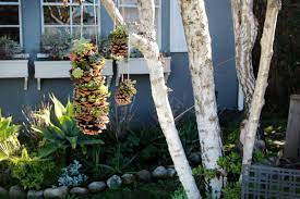 Make A Gorgeous Hanging Succulent Tower