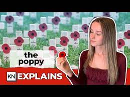 a poppy on remembrance day