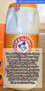 baking soda to remove dog urine odor