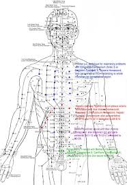 Acupuncture Points Meridians On The Head Body