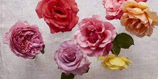Check spelling or type a new query. 16 Flowers With Astonishing Meanings Floral Symbolism