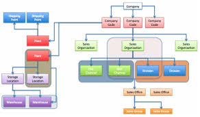 49 Exact Enterprise Organization Structure