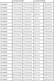 1 Baby Weight Chart During Pregnancy Baby Weight Chart