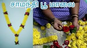 Add image add an image. How To Make Samanthi Flower Garland Samanthi Poo Malai Kattuvathu Eppadi In Tamil