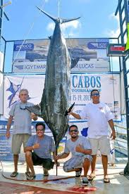 Los Cabos Billfish Tournament 2013 Day One Results