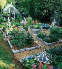 Veggie Garden Layout Vegetable Garden