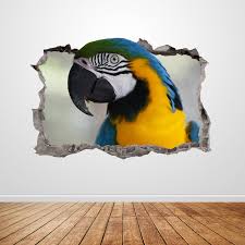 Parrot Wall Decal Smashed 3d Graphic
