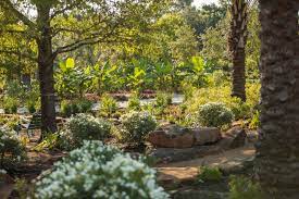 Brand New Houston Botanic Garden Brings