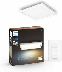 Philips Hue Lamp Panel Of Ceiling Led