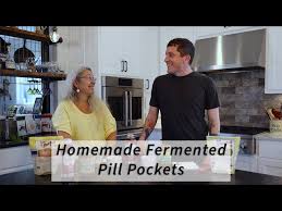 easy healthy homemade fermented pill