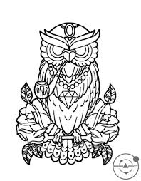 Owl Drawing Free Download On Ayoqq Org