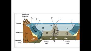 ocean floor topography earth and