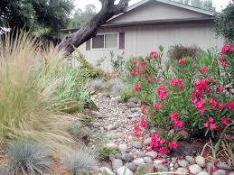 The Mountain Gardener Dry River Beds