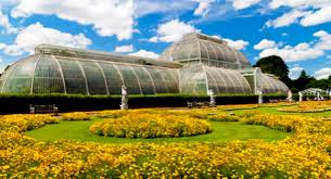 kew gardens london a local guide by