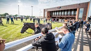Explore @goffs1866 twitter profile and download videos and photos this is the official goffs twitter account. Goffs Uk Reveals Details And Entries For Re Branded Summer Sale Bloodstock News Racing Post
