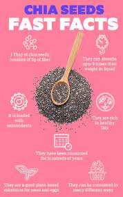 Chia Seeds Benefits gambar png