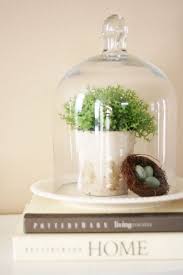 Decorating With Cloches And Why I Love