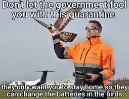 Government bird battery meme" · A Journal of the Plague Year · Covid-19  Archive