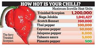 New Tesco Chilli Pepper Trinidad Scorpion Is So Hot Its