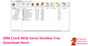 I use it professionally in different environments to ensure that large downloads are fast and resumeable. Idm 6 38 Build 25 Crack With Serial Key Full Free Download May 2021