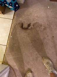is your ac unit making your carpet wet
