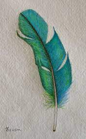 colored pencil art 15 feather art