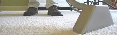 reviews direct carpet cleaning las
