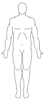 Using anatomical planes allows for accurate description of a location, and also allows the reader to understand what a diagram or picture is trying to show. File Anatomical Position Png Wikimedia Commons