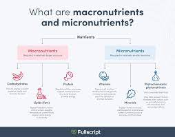 Micronutrients are the nutrients your body needs in smaller amounts, which are commonly referred to as vitamins and minerals. What Are Macronutrients And Micronutrients Fullscript