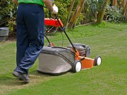Is there a specific lawn mower i would need to get? 13 Lawn Mowing Tips For A Healthy Lawn Diy
