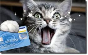 Blog de mudancaslitoral : MUDANÇAS LITORAL  (13) 3026.8596 | (13) 7824.6306 961*29486, Aceitamos cartão de crédito em até 6 vezes.....confira  !!!